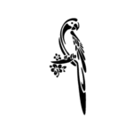 Image d'un tatouage temporaire représentant Un perroquet.