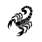 Image d'un tatouage temporaire représentant un scorpion.