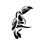 Image d'un tatouage temporaire représentant un toucan.