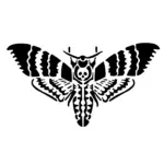 Mite tête de mort créant un tatouage temporaire mystérieux inspiré des papillons de nuit