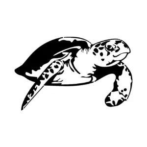 Tortue marine réaliste en mouvement pour tatouage temporaire naturel