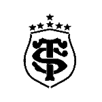 Image d'un tatouage temporaire représentant le logo du stade Toulousain.
