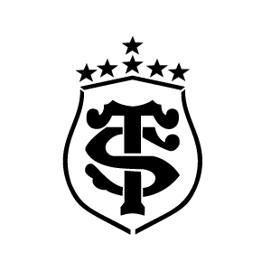 Image d'un tatouage temporaire représentant le logo du stade Toulousain.