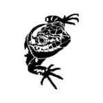 Image d'un tatouage temporaire représentant une salamandre.