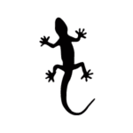 Image d'un tatouage temporaire représentant une salamandre