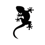 Image d'un tatouage temporaire représentant une salamandre.