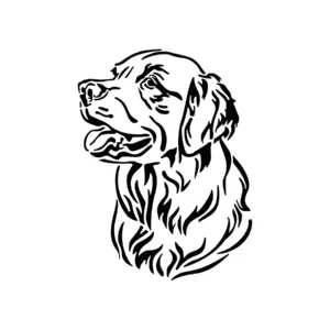 Golden Retriever réaliste au regard doux pour tatouage temporaire fidèle