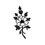 Pochoir tatouage éphémère Fleur Élégante – réutilisable et facile à appliquer