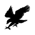 Image d'un tatouage temporaire représentant un aigle en plein attaque.