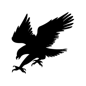 Image d'un tatouage temporaire représentant un aigle en plein attaque.