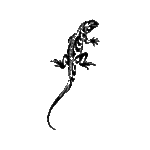 Image d'un tatouage temporaire représentant un iguane.