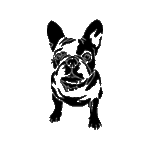 Pochoir tatouage éphémère bouledogue français – chien expressif et stylisé