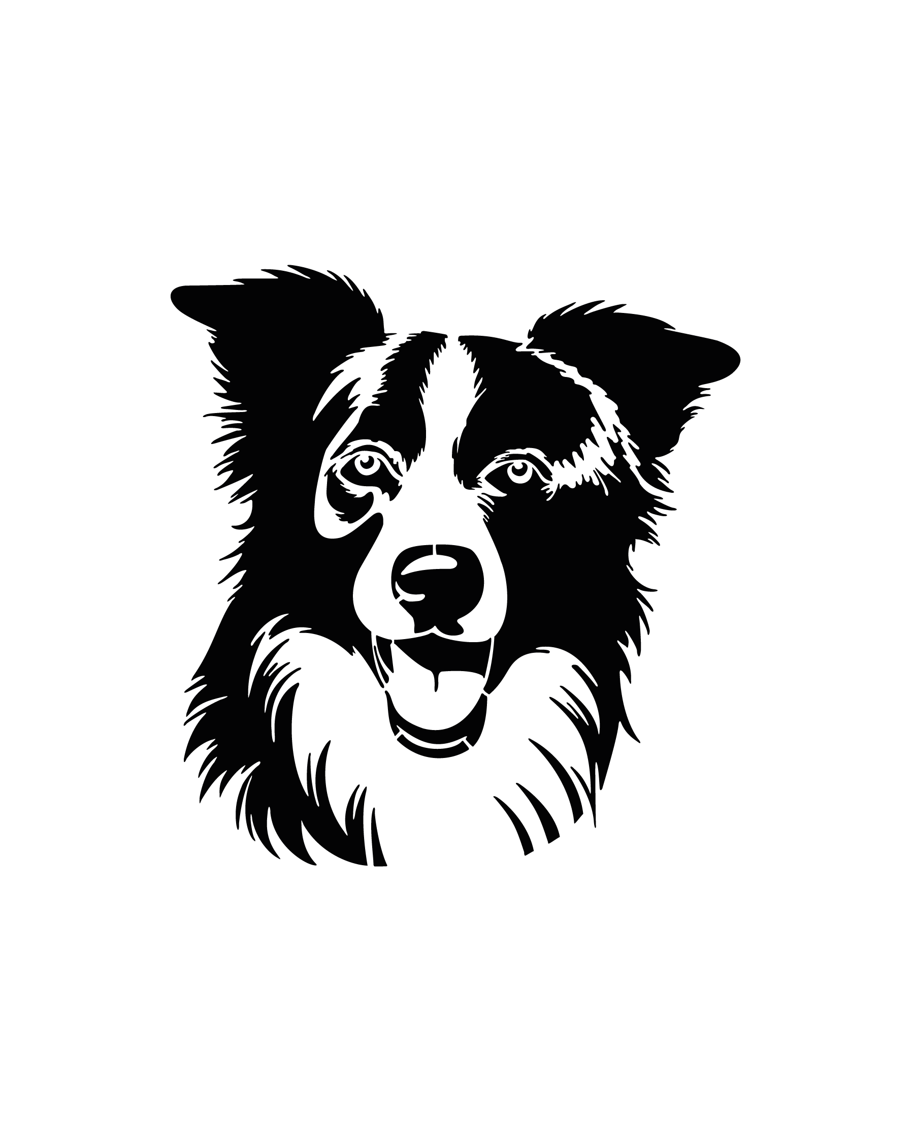 Border Collie intense au regard vif pour tatouage temporaire dynamique