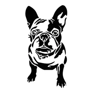 Bouledogue français mignon au regard expressif pour tatouage temporaire urbain
