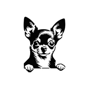 Chihuahua expressif aux traits fins pour tatouage temporaire délicat