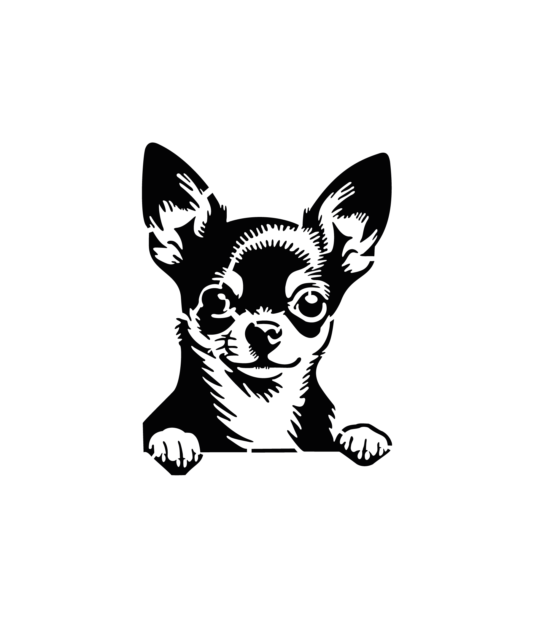 Chihuahua expressif aux traits fins pour tatouage temporaire délicat