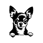 Pochoir tatouage éphémère chihuahua mignon – petit chien expressif et adorable