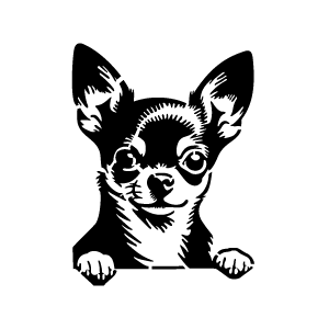 Pochoir tatouage éphémère chihuahua mignon – petit chien expressif et adorable