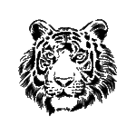 Pochoir tatouage éphémère tête de tigre intense – motif félin puissant et graphique
