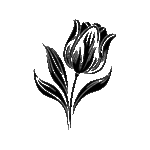 Pochoir tatouage éphémère tulipe stylisée 🌷 – motif floral fin et réutilisable