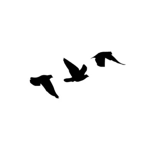 Silhouettes d’oiseaux minimalistes en plein vol pour tatouage temporaire symbole de liberté