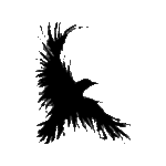 Pochoir tatouage éphémère corbeau sauvage – motif sombre et puissant