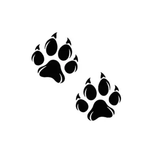 Deux empreintes de chien noires pour tatouage temporaire