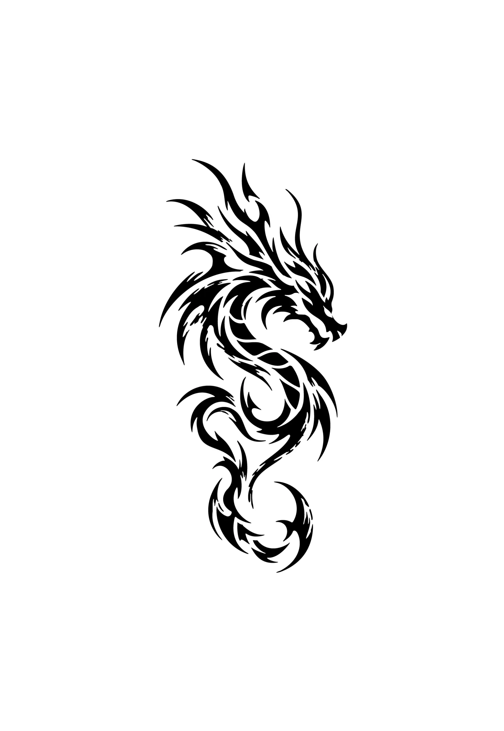 Dragon enroulé aux lignes flamboyantes pour tatouage temporaire dynamique et puissant