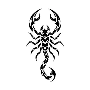 Scorpion Ornemental Aiguisé aux formes effilées et symétriques pour tatouage éphémère