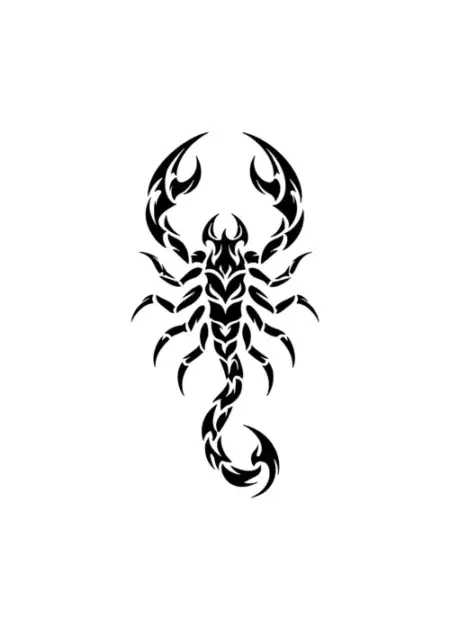 Scorpion Ornemental Aiguisé aux formes effilées et symétriques pour tatouage éphémère